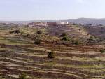 School and desert