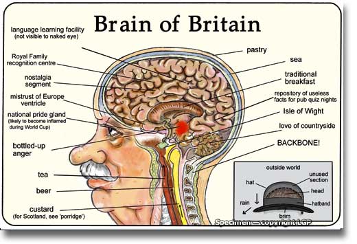 Brain of britain